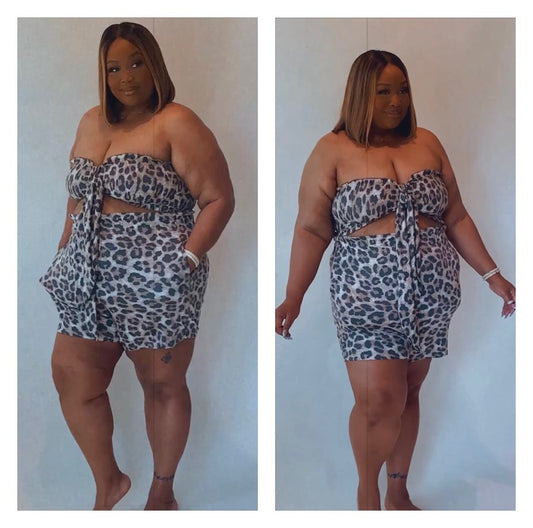 Leopard Smocked Tube Top Set